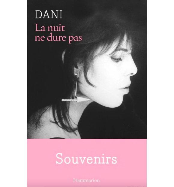 Couverture de "La nuit ne dure pas" de Dani publié aux éditions Flammarion en 2016