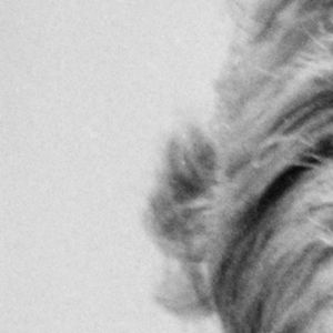 Le folkloriste américain Bob Dylan pendant une interview en mai 1964 