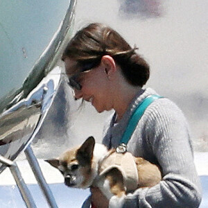 Exclusif - Calista Flockhart quitte le jet privé de son mari avec ses trois chiens à Los Angeles le 24 juin 2022.