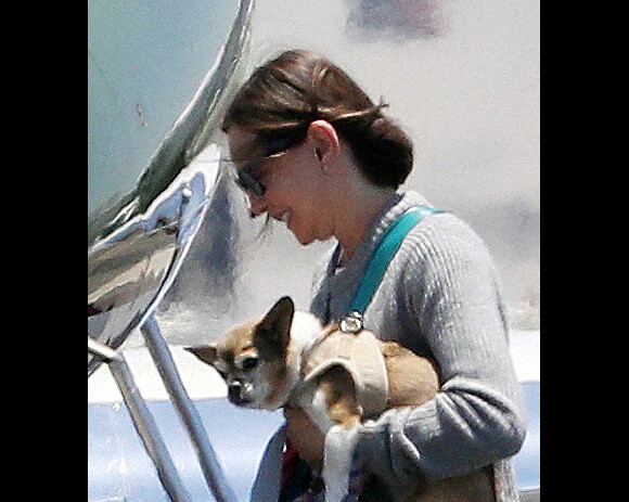 Exclusif - Calista Flockhart quitte le jet privé de son mari avec ses trois chiens à Los Angeles le 24 juin 2022.