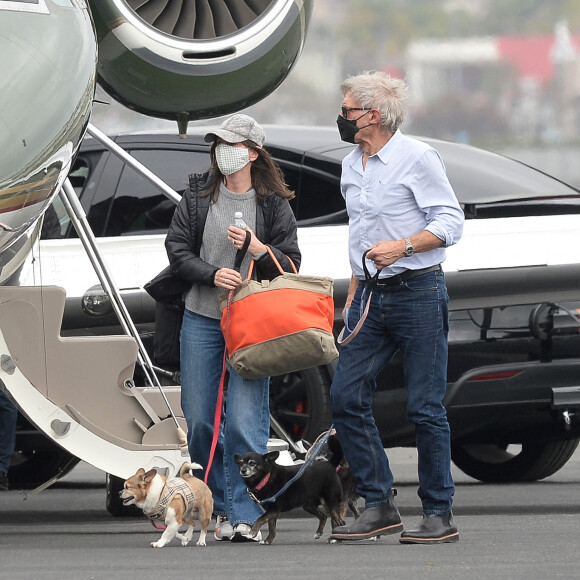 Exclusif - Harrison Ford et Calista Flockhart sortent de leur jet privé avec leurs animaux de compagnie à Los Angeles, Californie, Etats-Unis, le 13 avril 2021.
