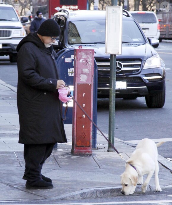 René Angelil promène son chien, le lundi 8 février, dans les rues de New York.