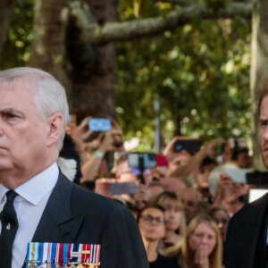 Le prince Andrew, duc d'York, le prince Harry et le prince Edward, duc de Wessex - Procession cérémonielle du cercueil de la reine Elisabeth II du palais de Buckingham à Westminster Hall à Londres le 14 septembre 2022. © Photoshot / Panoramic / Bestimage 