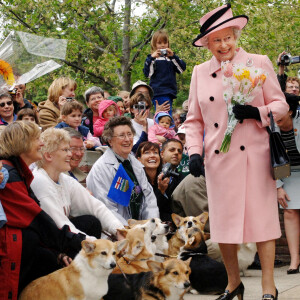 La reine Elisabeth II d'Angleterre avec ses corgis en 2005 au Canada