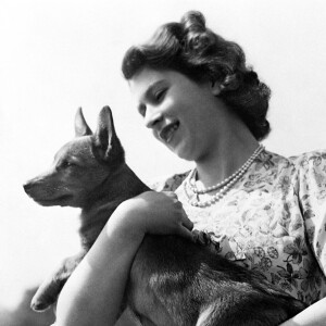 La reine Elisabeth II d'Angleterre en 1950 avec son corgi