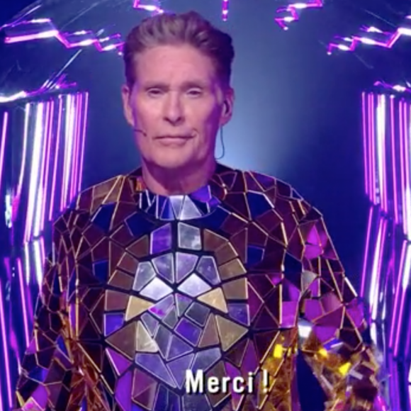 David Hasselhoff est le cobra dans Mask Singer