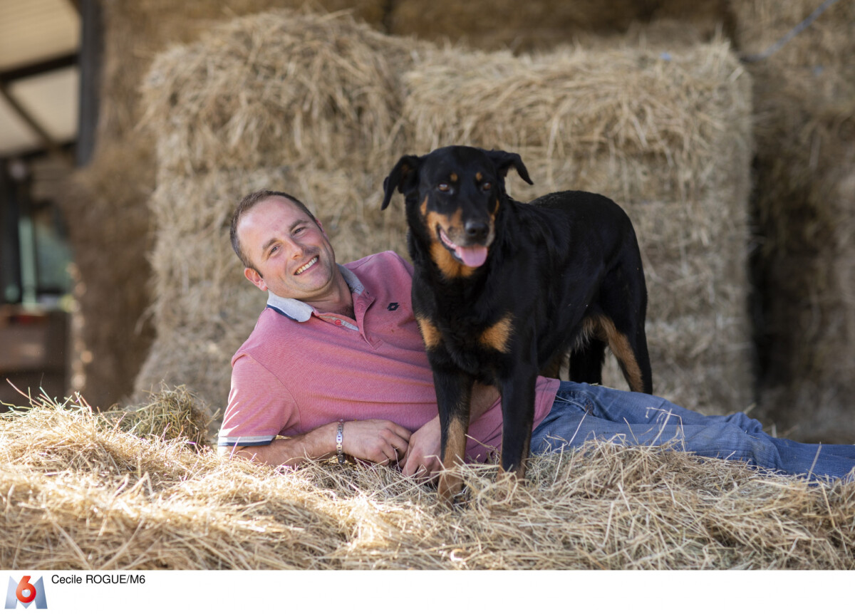 Photo Alexandre Candidat De Lamour Est Dans Le Pré Sur M6