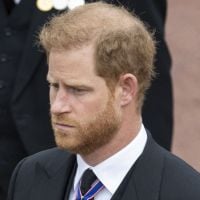 Prince Harry définitivement exclu de la famille royale ? La décision de son père qui ne passe pas...
