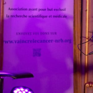 Concert privé de Patrick Bruel durant le 35ème Dîner de Gala "Vaincre le cancer" au profit de la lutte contre les cancers au Cercle de l'Union Interalliée à Paris, France, le 29 Octobre 2022. © Bertrand Rindoff / Bestimage