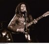 "Bob Marley" - Concert scène archive guitare "plan serré"