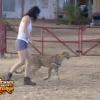 Adeline arrive à maîtriser un guépard