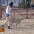 Adeline arrive à maîtriser un guépard 