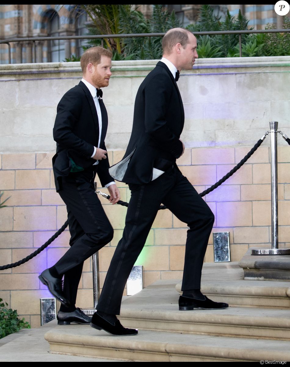 Le prince William, duc de Cambridge, le prince Harry, duc de Sussex, à la première de la série Netflix "Our Planet" au Musée d'Histoires Naturelles à Londres, le 4 avril 2019.