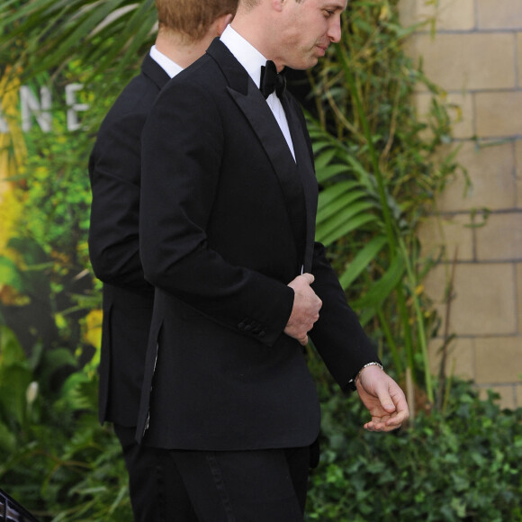 Le prince William, duc de Cambridge, le prince Harry, duc de Sussex, à la première de la série Netflix "Our Planet" au Musée d'Histoires Naturelles à Londres, le 4 avril 2019. 