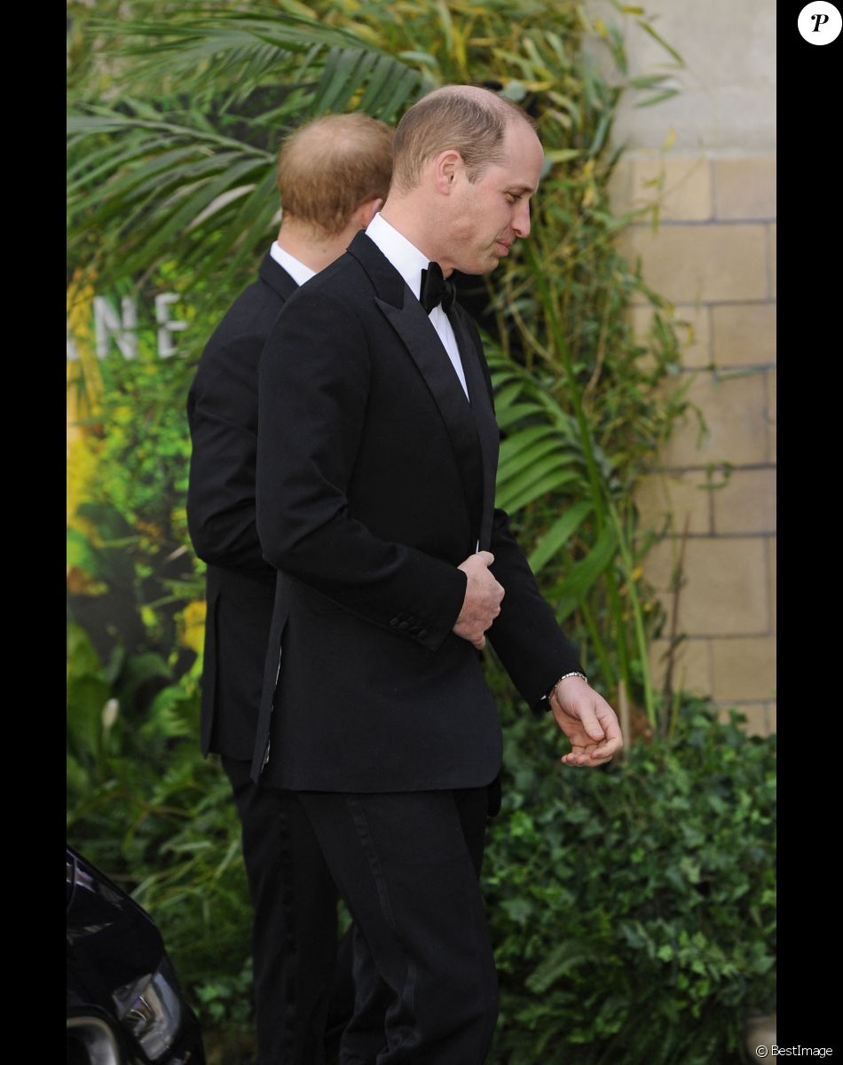 Le prince William, duc de Cambridge, le prince Harry, duc de Sussex, à la première de la série Netflix "Our Planet" au Musée d'Histoires Naturelles à Londres, le 4 avril 2019.