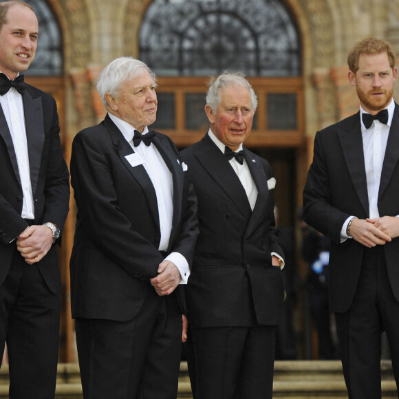 Le prince William, duc de Cambridge, Sir David Attenborough, le prince Charles, prince de Galles, le prince Harry, duc de Sussex, à la première de la série Netflix "Our Planet" au Musée d'Histoires Naturelles à Londres, le 4 avril 2019. 