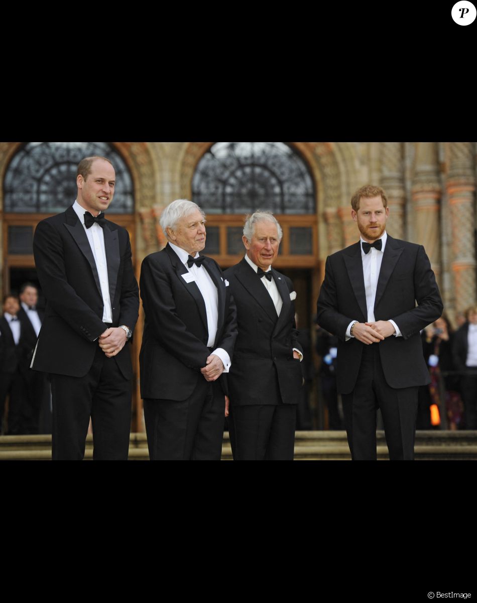 Le prince William, duc de Cambridge, Sir David Attenborough, le prince Charles, prince de Galles, le prince Harry, duc de Sussex, à la première de la série Netflix "Our Planet" au Musée d'Histoires Naturelles à Londres, le 4 avril 2019.