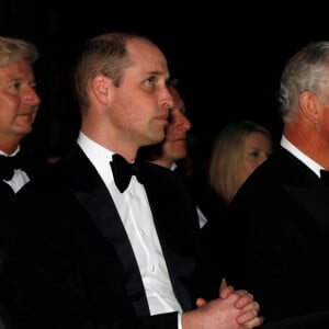 Le prince Harry, duc de Sussex, le prince William, duc de Cambridge, le prince Charles, prince de Galles, Sir David Attenborough lors de la première mondiale de la série Netflix "Our Planet" au Musée d'histoire naturelle de Londres le 4 avril 2019. 