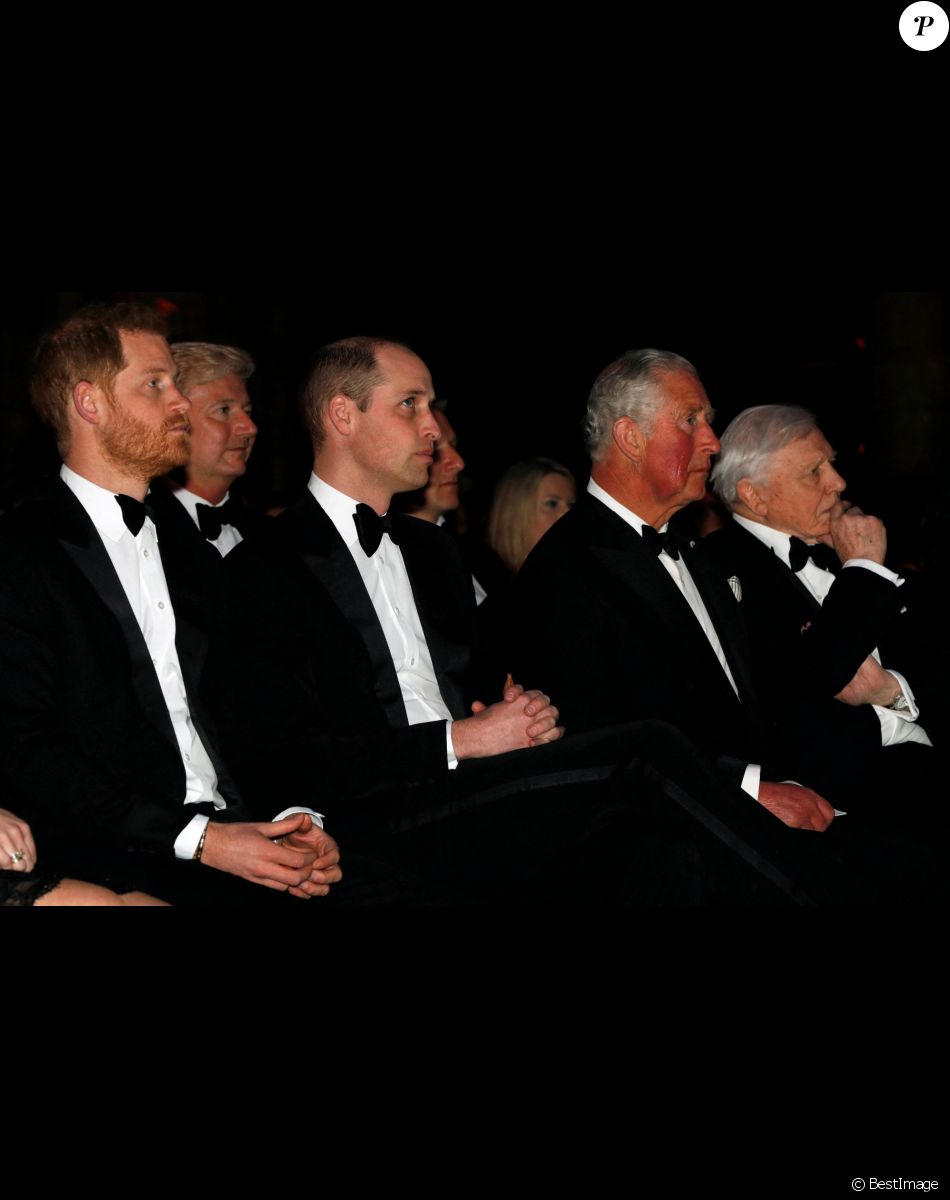 Le prince Harry, duc de Sussex, le prince William, duc de Cambridge, le prince Charles, prince de Galles, Sir David Attenborough lors de la première mondiale de la série Netflix "Our Planet" au Musée d'histoire naturelle de Londres le 4 avril 2019.