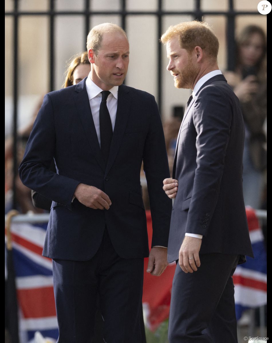 Info - Le prince Harry accuse son frère William de l'avoir attaqué physiquement en 2019 - Le prince de Galles William, le prince Harry, duc de Sussex à la rencontre de la foule devant le château de Windsor, suite au décès de la reine Elisabeth II d'Angleterre. Le 10 septembre 2022