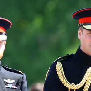 Le prince Harry, duc de Sussex, le prince William, duc de Cambridge 