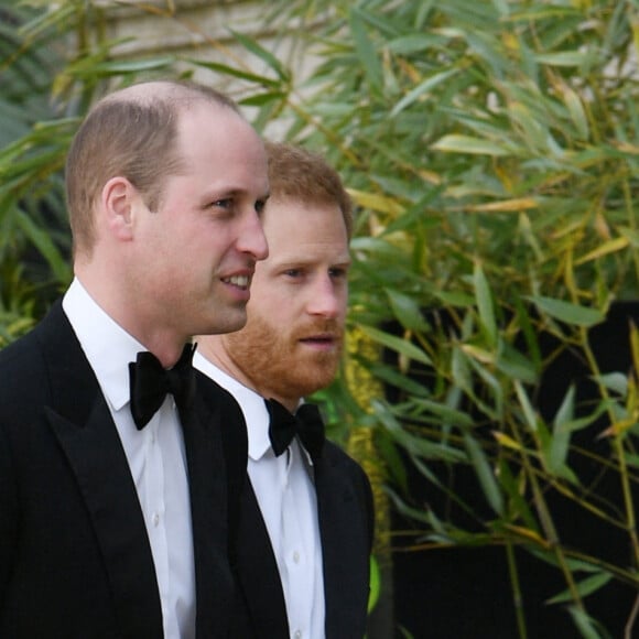 Le prince William, duc de Cambridge, le prince Harry, duc de Sussex, à la première de la série Netflix "Our Planet" au Musée d'Histoires Naturelles à Londres, le 4 avril 2019. 