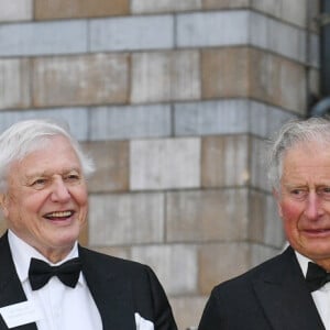 Le prince William, duc de Cambridge, Sir David Attenborough, le prince Charles, prince de Galles, le prince Harry, duc de Sussex, à la première de la série Netflix "Our Planet" au Musée d'Histoires Naturelles à Londres, le 4 avril 2019. 