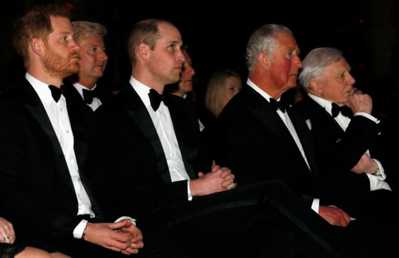 Le prince Harry, duc de Sussex, le prince William, duc de Cambridge, le prince Charles, prince de Galles, Sir David Attenborough lors de la première mondiale de la série Netflix "Our Planet" au Musée d'histoire naturelle de Londres le 4 avril 2019. 