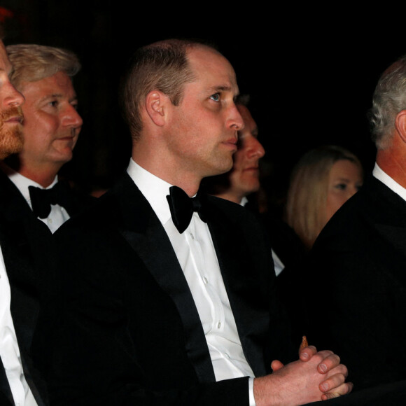 Le prince Harry, duc de Sussex, le prince William, duc de Cambridge, le prince Charles, prince de Galles, Sir David Attenborough lors de la première mondiale de la série Netflix "Our Planet" au Musée d'histoire naturelle de Londres le 4 avril 2019. 