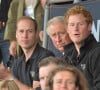 Le prince Charles et ses fils les princes Harry et William assistent aux Invictus Games (Jour 1) à Londres