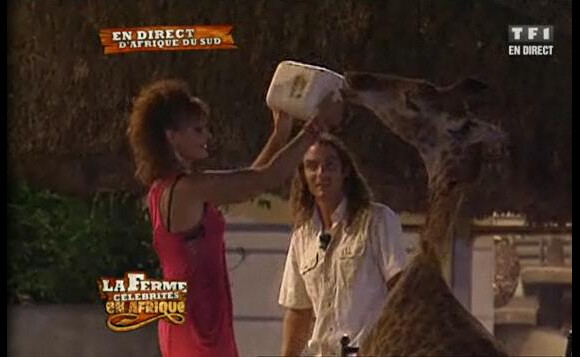 Kelly arrive à nourir une girafe