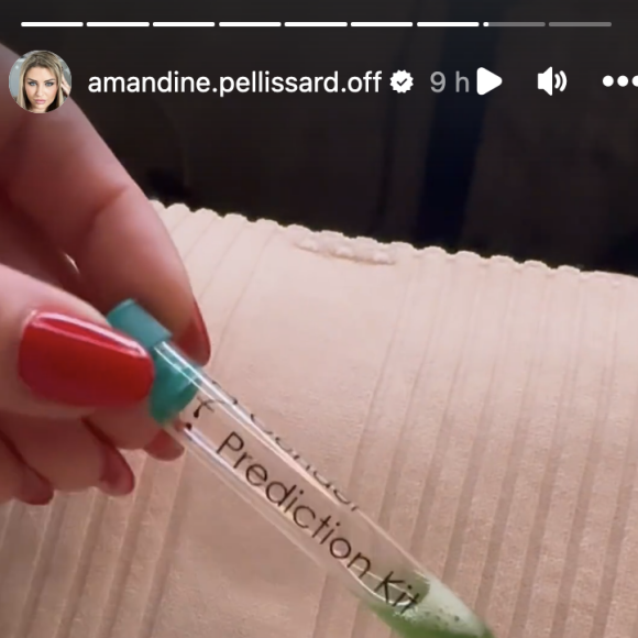 Amandine Pellissard, enceinte, annonce attendre une petite fille - Instagram