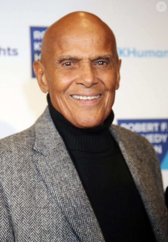 Il avait notamment été ami avec Martin Luther King. 
Harry Belafonte à la soirée 'RFK Human Rights Ripple Of Hope Awards' à New York, le 6 décembre 2016 