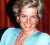 Elle a confié que Diana "leur manquait tous les jours". 
La bague de fiançailles que le Prince William a offert à sa fiancée Kate Middleton (Catherine Middleton) en 2010 est celle de la Princesse Diana.