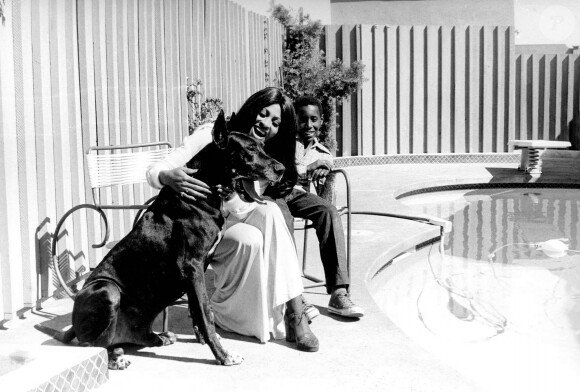 Tina Turner a elevé quatre garçons, dont Ronnie, qui a épousé Afida Turner
Rétro - Tina Turner et son fils Ronnie avec leur chien Onyx dans leur maison de View Park, en 1972