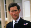 Le pouvoir de séduction du roi Charles III n'a jamais été remis en question.
Le prince de Galles de l'époque portant son nouvel uniforme de capitaine de la Royal Navy à l'occasion de son 40ème anniversaire à Londres, Royaume Uni