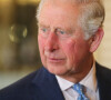 Une information déjà avancée par le journaliste Bertrand Meyer-Stabley en avril dernier.
Le prince Charles lors de la remise du "Elizabeth Prize for Engineering" au palais Buckingham à Londres. Le 3 décembre 2019 