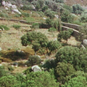 La villa en Corse de Jacques Dutronc, que Françoise Hardy a fait construire