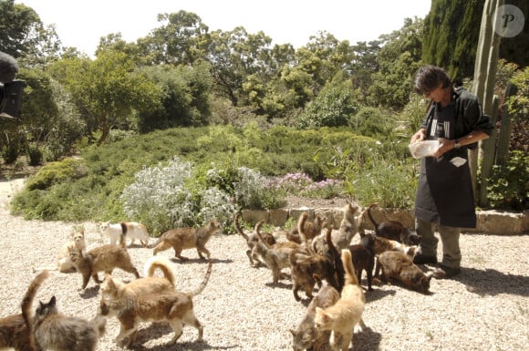 En France, Jacques Dutronc chez lui à Monticello en Corse avec ses chats. le 9 mai 2005.