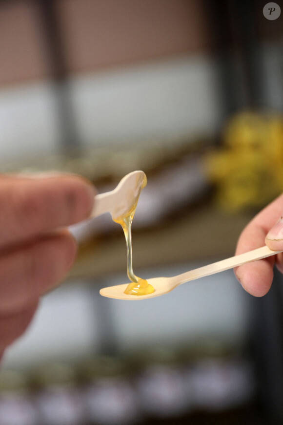 Apiculture : degustation de miel apres la recolte -