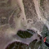 Mort d'une star du surf à seulement 44 ans dans des conditions dramatiques
