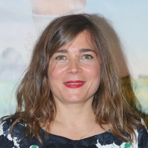 Blanche Gardin - Avant-première du film "Problemos" au cinéma UGC Ciné Cité les Halles à Paris, France, le 9 mai 2017. © CVS/bestimage 
