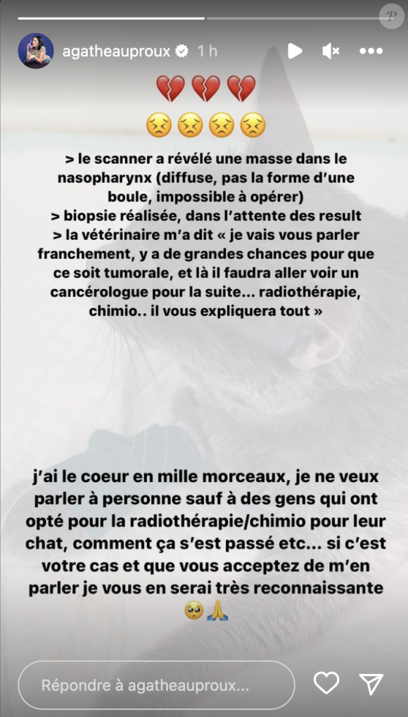 "La vétérinaire m'a dit : 'je vais vous parler franchement, il y a de grandes chances pour que ce soit tumorale et là, il faudra aller voir un cancérologue pour la suite... radiothérapie, chimio... il vous expliquera tout'", a-t-elle rapporté.
Agathe Auproux "le coeur en mille morceaux" face à la maladie de son chat. Instagram