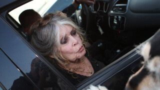 "J'adorais qu'on me mette les mains aux fesses" : Brigitte Bardot cash sur ses rapports dans le cinéma, l'actrice se lâche