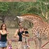 David emmène ses enfants à la rencontre de la girafe