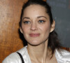 Elle a choisi une croisière nocturne sur la Seine au côté de Maxim Nucci pour faire la fête
Exclusif - Marion Cotillard - Arrivées à la première du film Astérix et Obélix "L'Empire du Milieu" au cinéma Le Grand Rex à Paris le 15 janvier 2023. 