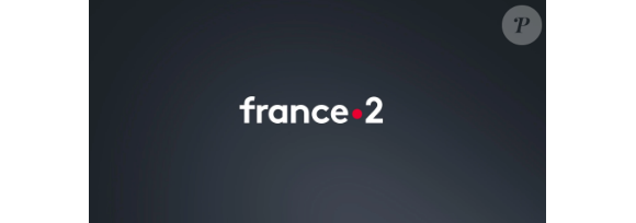L'année fut teintée de crainte pour cette journaliste de France Télévisions.
Logo de France 2.