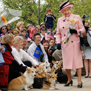 Voilà bien longtemps que nous n'avions pas eu de nouvelles des chiens de la reine.
Archives - La reine Elizabeth II d'Angleterre accueillie par des corgis au Canada.