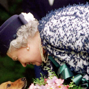 Archives - La reine Elizabeth II à Northumberland. Le 20 mai 1998.