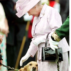 "Ils aboient beaucoup et ils sont très grands, mais ils sont vraiment mignons. Ils ont des grosses pattes toutes plates et toutes touffues."
La reine Elizabeth II à Edimbourg.